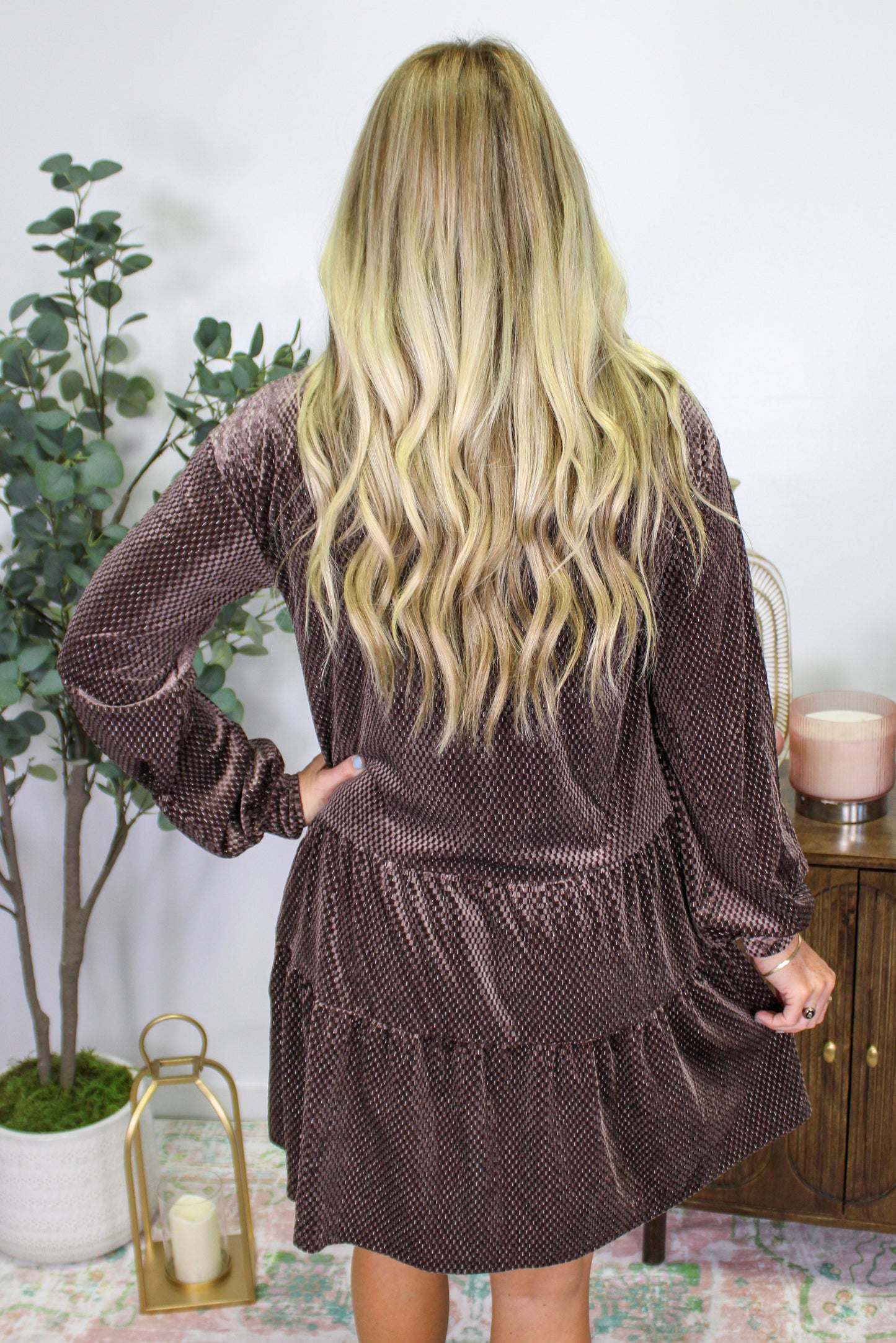 Brown Velvet Dress LT