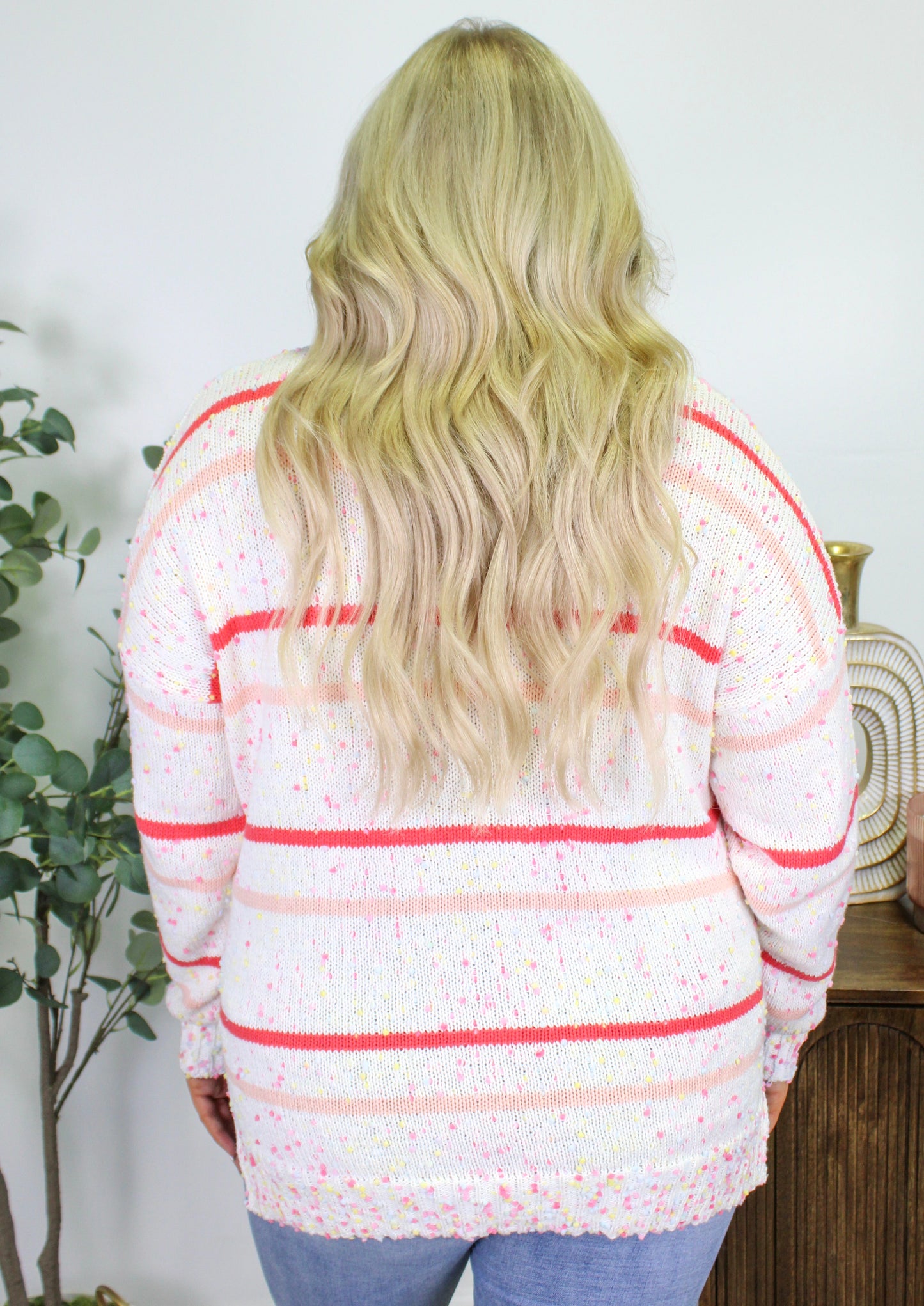 Confetti Striped Plus Size Sweater LT