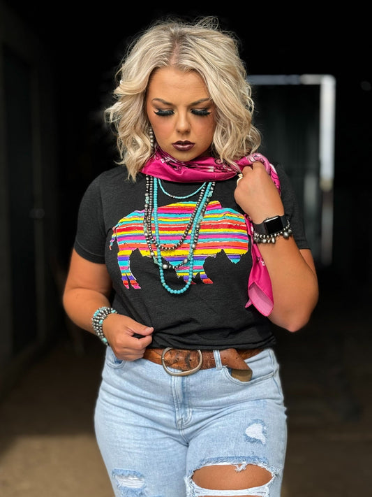 Serape Buffalo Tee