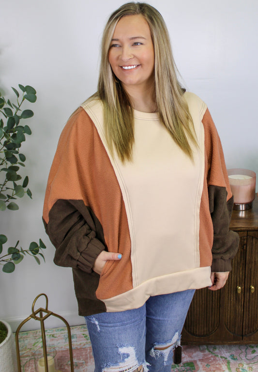 Brown Colorblock Plus Size Hoodie LT