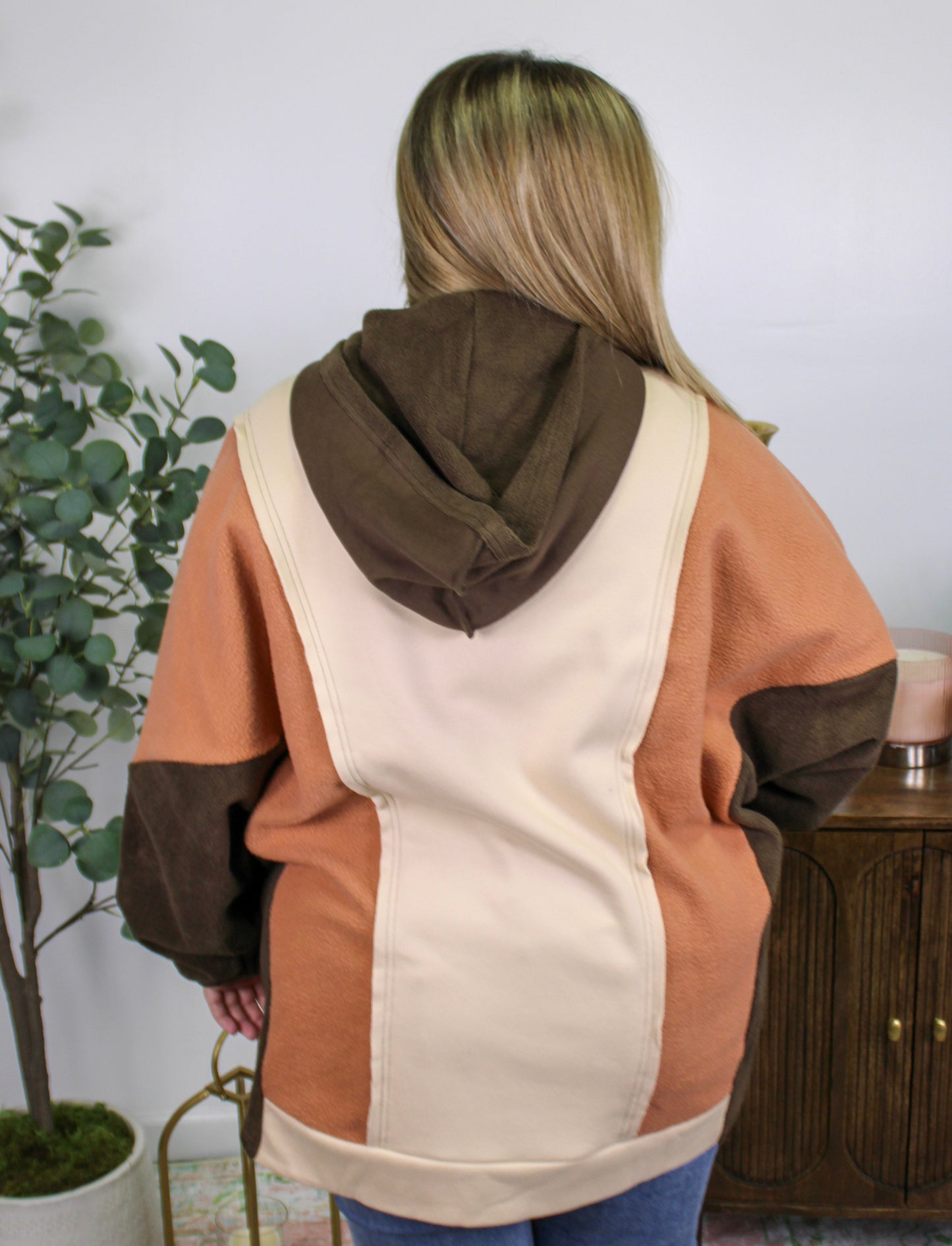 Brown Colorblock Plus Size Hoodie LT