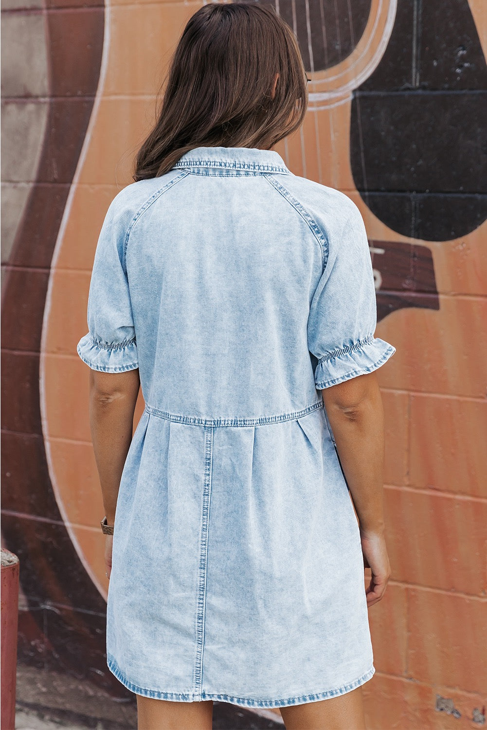 Ruffle Button Up Denim Dress LT